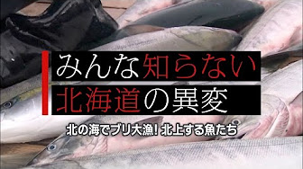 日本各地の地球温暖化の影響と対策 北海道地方 Youtube