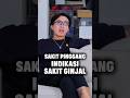 SAKIT PINGGANG GEJALA SAKIT GINJAL #drtirta #kesehatan #ginjal #shorts