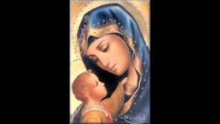 Video thumbnail of "Ave Maria - Padre Lucas Casaert"