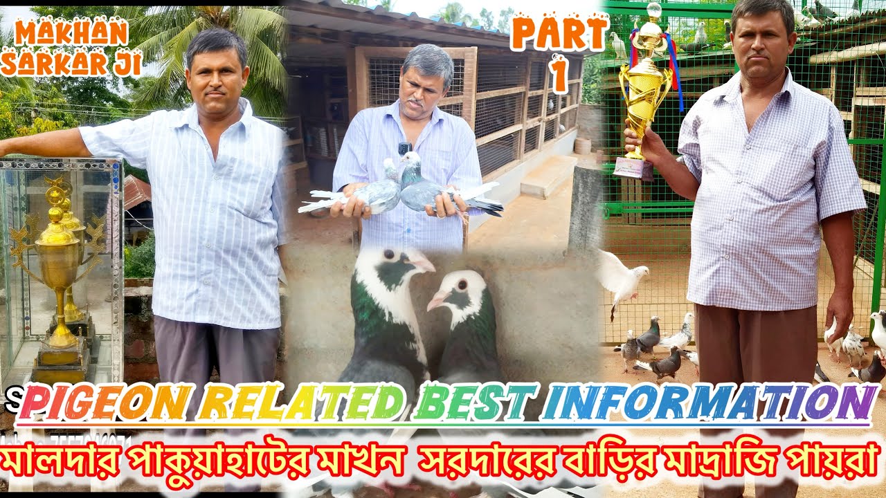 || THE GREATE PIGEON LOVER MAKHAN SARDER JI FROM MALDA-PAKUAHAT - +91 94349 81700 || PART 1 ~