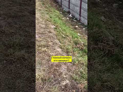 🌱 Снег растаял… и Пинск увидел, что лежало под ним всю зиму #Пинск #Полесье #мусор #город #весна