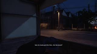 Just a normal stealth mission