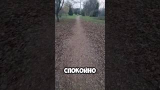 Особенный вход в останкинский парк #главноепуть #останкино #путешествия