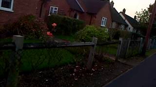 VID-20121024-00000