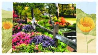 Tyler Azalea Spring Flower Trail 2011 by Tyler Tourism 171 views 11 years ago 31 seconds