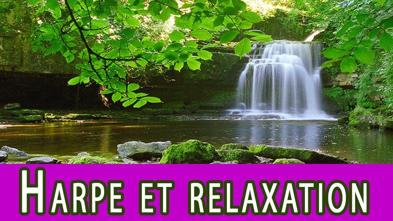 Source des merveilles : harpe, flute de pan, piano et clavier, musique zen/relaxation  (F. Amathy) 