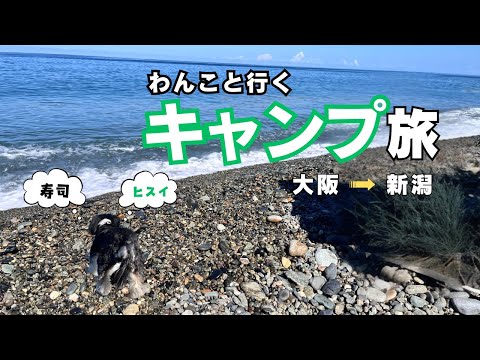 【犬連れキャンプ旅#1】大阪から新潟、群馬、山梨、静岡へぐるっと1週間。1日目は新潟の糸魚川へ。行ってみたら、癒しの景色が待っていました。