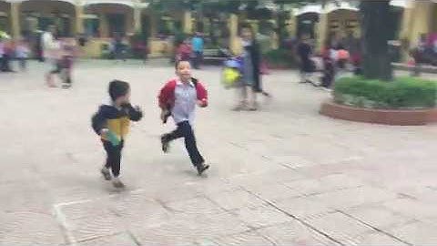 Trường Tiểu Học Đông Ngạc B [Bin Lớp 2]