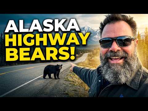 Alaska Highway: Whitehorse to Fort Nelson | Bears, Bison & Hot Springs!
