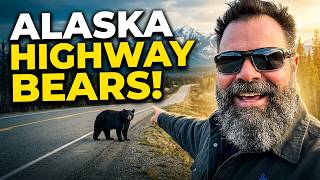 Alaska Highway: Whitehorse to Fort Nelson | Bears, Bison & Hot Springs!