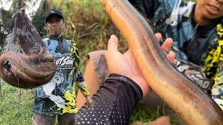 NEW MONSTER EEL RECORD WITH THE STRONGEST PULL