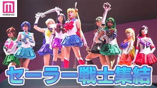 セーラー戦士「You're My Universe」歌唱 月野うさぎのパートナー・ルナの切ない恋物語描く ミュージカル「美少女戦士セーラームーン」かぐや姫の恋人公開ゲネプロ セーラー戦士「You're My Universe」歌唱 月野うさぎのパートナー・ルナの切ない恋物語描く ミュージカル「美少女戦士セーラームーン」かぐや姫の恋人公開ゲネプロ