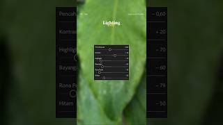 Dark forest | Tutorial Lightroom mobile #tutorial #colorgrading