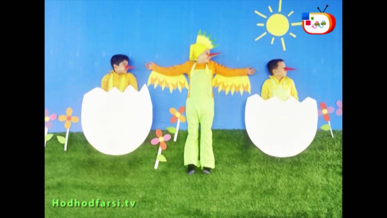 شبکه جهانى هدهد - کلیپ پرنده