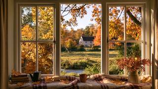 Cozy October Days 🍂 soft piano for living a quiet life | aesthetic autumn playlist screenshot 3