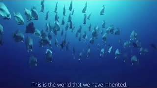 Refuse single-use plastic