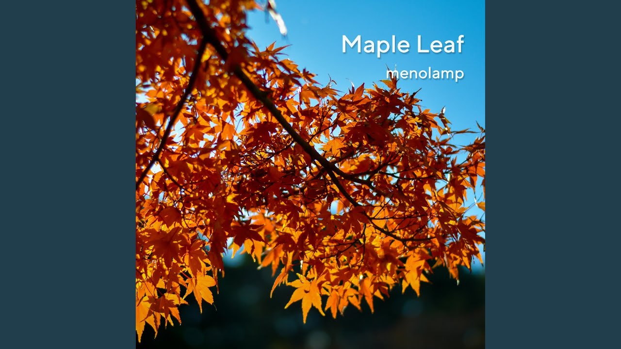 Maple Leaf - YouTube