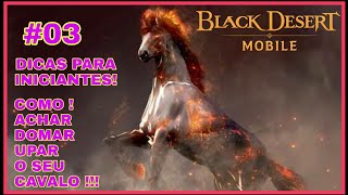 Black Desert Mobile Tutorial Como Domar, Treinar E Upar Os Cavalos