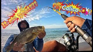 Fishing for Giant Calicos it ate what??? [Socal Surf Fishing] (Catch & Cook)