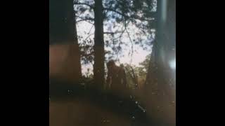 Xtentacion - Ribs Alleged Instrumental