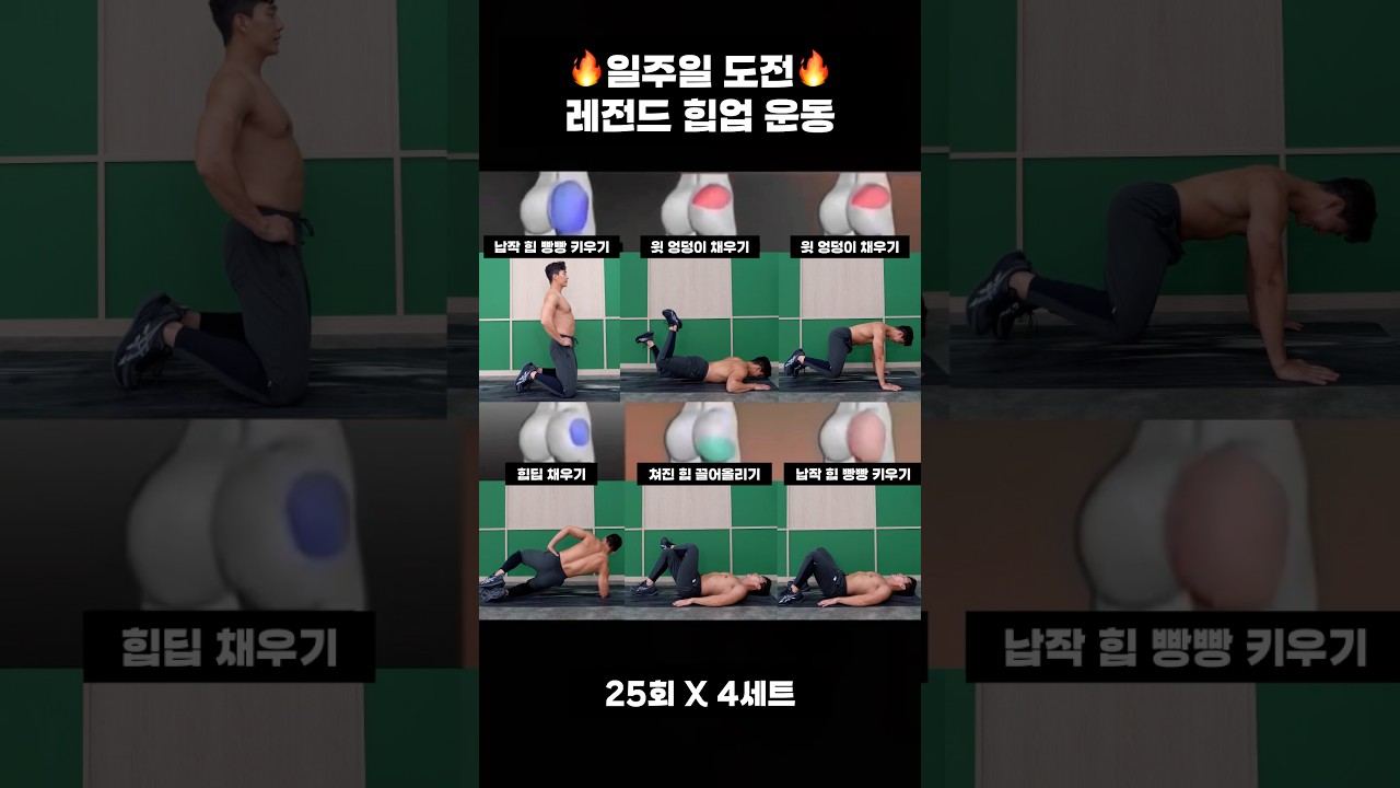 일주일 도전? 레전드 힙업 운동 모음 #힙업운동 #오운완