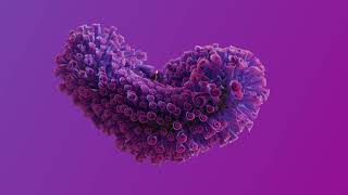 Houdini Flower Project | by Aabir Ahammed