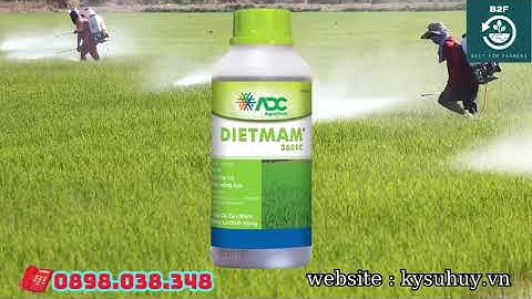 DIETMAM 360EC – THUỐC TRỪ CỎ DIỆT CỎ TẬN MẦM KHÔNG LO CHẾT VŨNG - 0898.038.348 #dietmam260ec