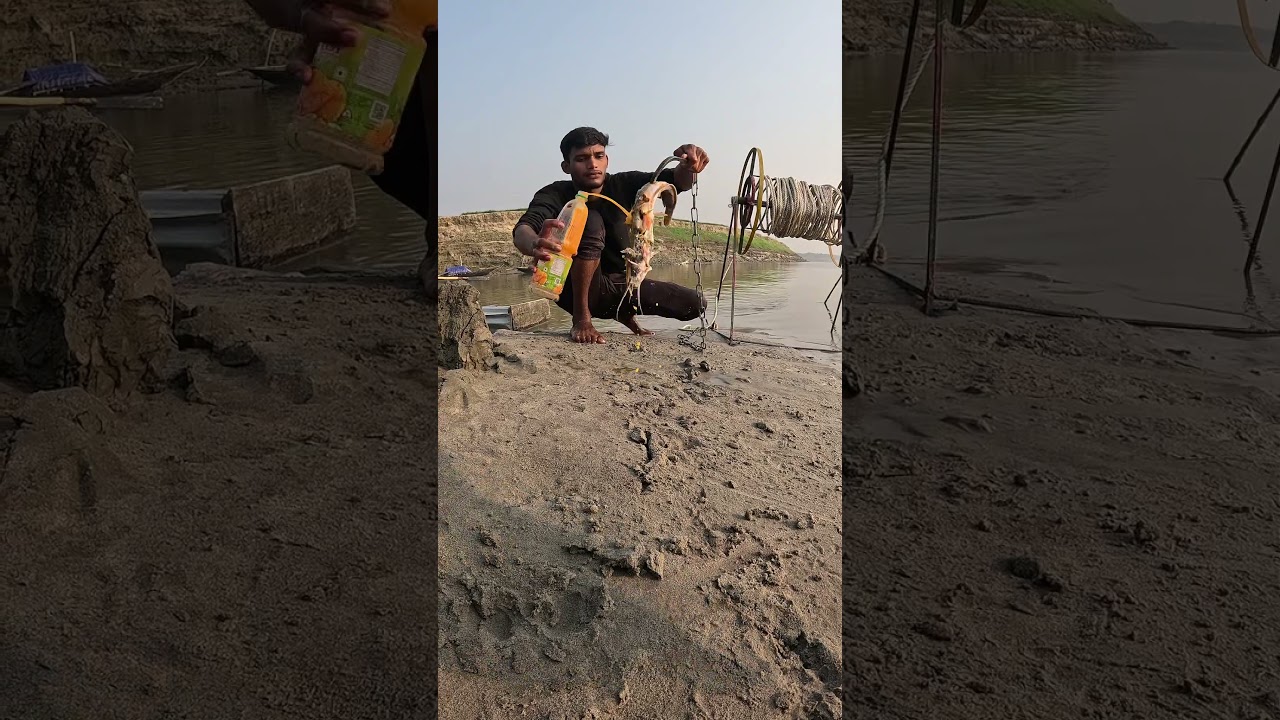 Fishing technique for shark 