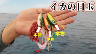本物のイカの目玉をオモリに付け釣りをしていたら極上巨大魚が食ってきた!【開発釣り】