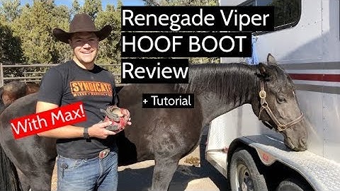 Renegade Viper HOOF BOOT Review + Tutorial
