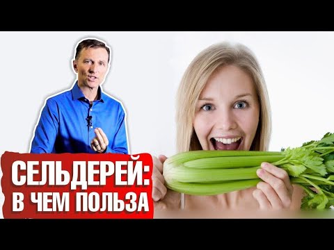 Чем полезен сельдерей ► Какая польза сельдерея для организма? 🥬