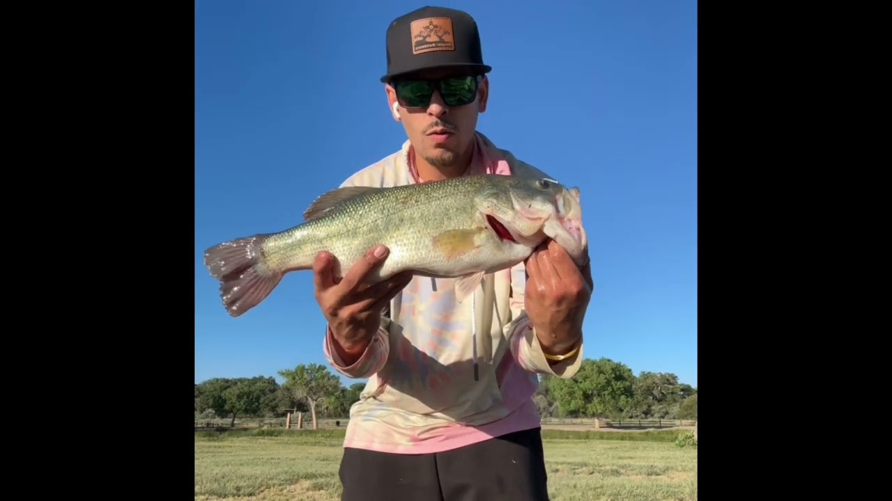 Bass Fishing Isleta Lakes Best Day Ever! Giant bass landed!