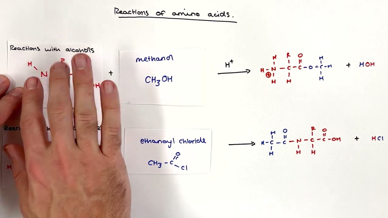 A Level Chemistry Reactions of Amino Acids