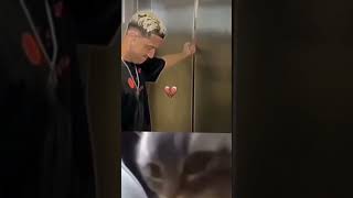 give this video a title(wrong answers only) #memes #viral