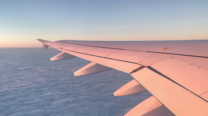 TRIPREPORT #2: Lufthansa 1873, Airbus A320-214, D-AIZE, FCO-MUC, Rome to Munich, #lufthansa #a320