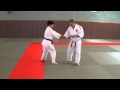 Jujitsu 20 techniques  explicatif  serie a