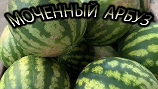 Раскрыл Секрет! КаК Я Мочу Арбуз На Зиму / Бочковой Арбуз / Арбуз в Бочке на Зиму/