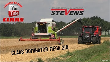 tarwe oogst 2025 claas Dominator mega 218 loonbedrijf stevens Veendam Oost-Groningen