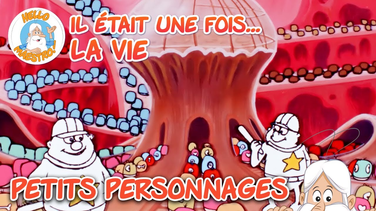 Les minuscules habitants du corps | Compilation d'épisodes | Il était une fois... la Vie