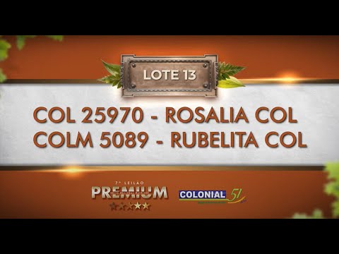 LOTE 13   COL 25970, COLM 5089