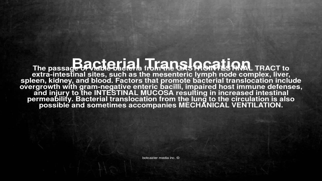 Medical vocabulary: What does Bacterial Translocation mean