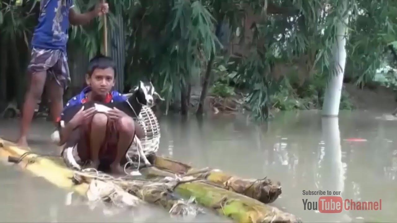 Flooding | Sylhet Flood 2022 | সিলেটের বন্যা পরিস্থিতি | Travel Tube Flooding | Sylhet Flood 2022 | সিলেটের বন্যা পরিস্থিতি | Travel Tube