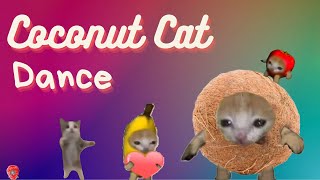 I am a Coconut | Coconut Dance |  #coconut #funny #happycats Resimi