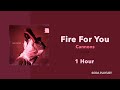 (1 Hour Loop) Fire For You - Cannons (Lyrics)