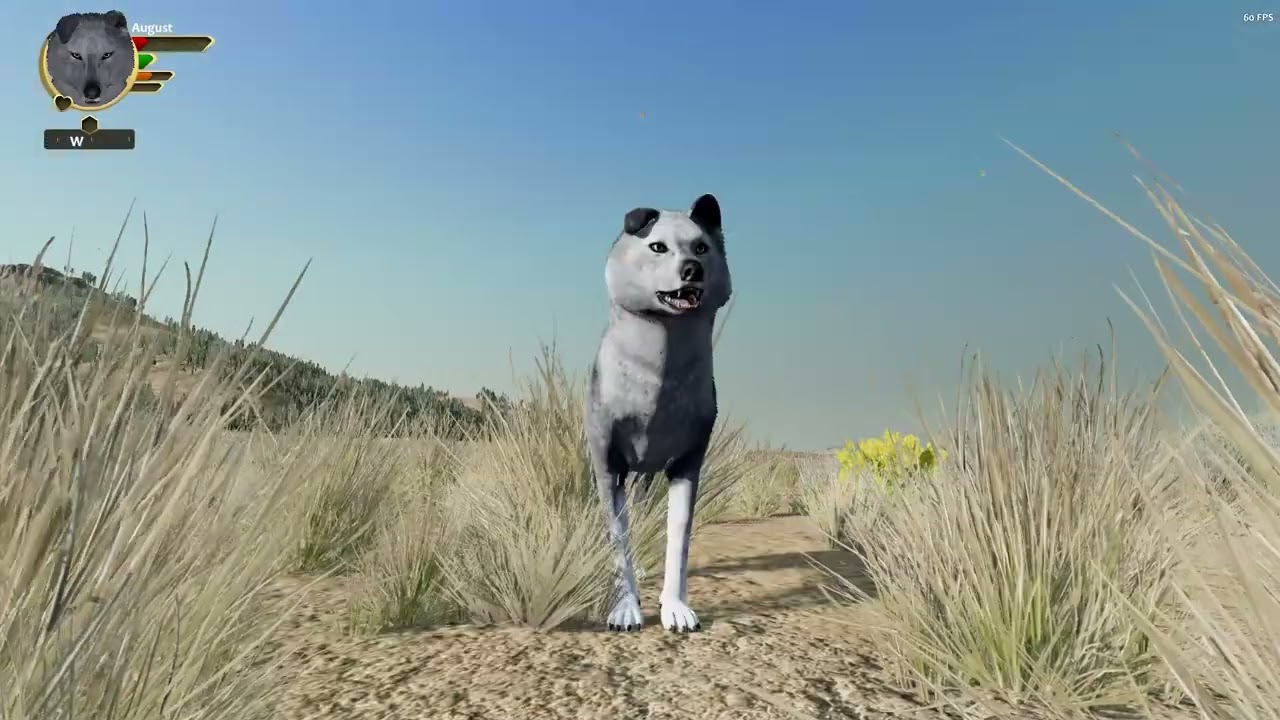 How To Get The Charmless Achievement In Wolfquest AE