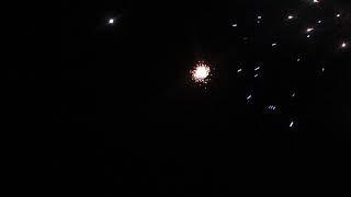 Five Inch Firework Shell - Falling Leaves Effect