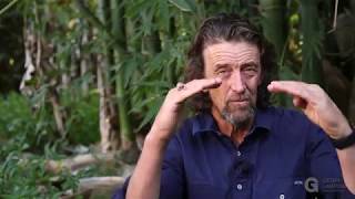 Q&A Concerns About Cat Feces And Toxoplasmosis In The Garden