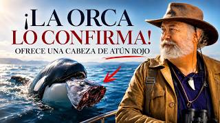 ORCA EN ESPAÑA CONFIRMA LA HIPÓTESIS DEL PACTO DE LA ORILLA DE LÓPEZ-MIRONES