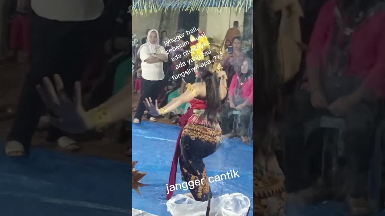 Jangger Bali Cantik, Anak Gacor Dengan Gayanya