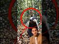 What If a Bird Secretly Guides a Predator to Food? (HoneyBadger &amp; Honeyguide Truth)